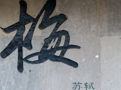 -杭州植物园