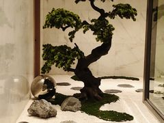 -南美水疗(七莘路店)