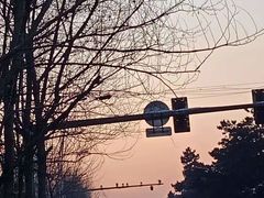 -李先生牛肉面(长春红旗街店)