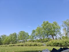 -长广溪湿地公园