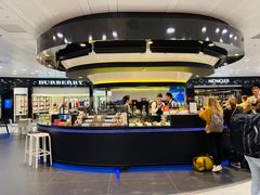 -米兰马尔彭萨国际机场