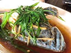 -张家卫·阳江菜·小海鲜(肥婆湾桥店)