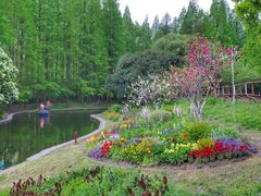 -上海共青森林公园