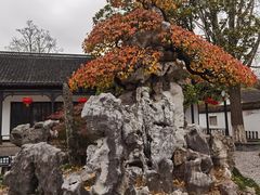 -水绘园