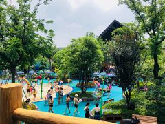 -苏州乐园森林水世界