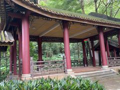 -顺峰山公园
