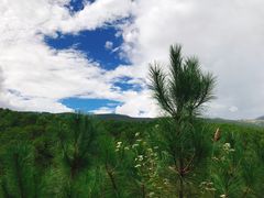 -云端彼岸马场