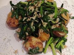 -锦粤宫·融合粤菜(上海金沙江店)