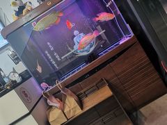 -零·壹新疆羊肉抓饭