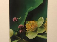 -我嘉书房(南翔名士居店)