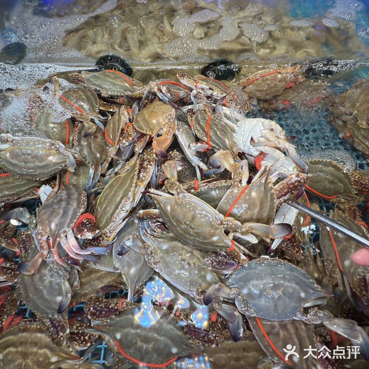 五一假期来重庆玩的小伙伴们这边看过来！