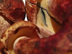 -一坐一忘云南菜(卓悦中心)