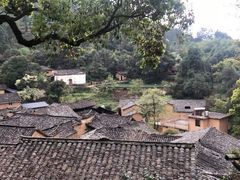 -杨家堂村