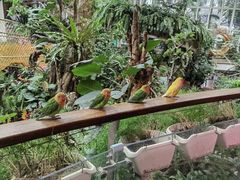 -正佳雨林生态植物园