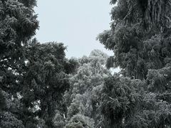 -南岳衡山风景名胜区-南岳大庙