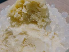 猫山皇榴莲爽冰-杏甜品(尖沙咀加拿分道店)