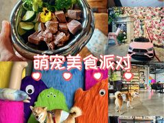 -百好乐宠物友好餐厅(朝外大街店)