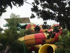 -苏州乐园森林水世界