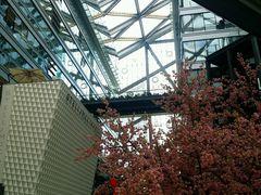 android_upload_pic-博多一幸舍(侨福芳草地购物中心店)