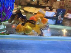 -粗粮人家·东北菜(洋桥店)