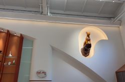 -马克叔叔的照相馆(东门店)