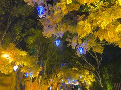 -横店影视城梦幻谷园区