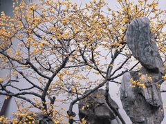 -太平天国历史博物馆(瞻园)