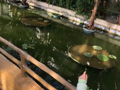 -国家植物园南园