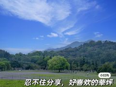 -福建鲤鱼洲酒店