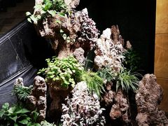 -无名居(西直门总店)