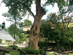 -五世皇金柚木行宫(维护中)