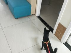 -美联众合动物医院·24h京西诊疗中心