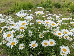 -汉长安城未央宫国家考古遗址公园