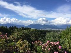 -飞跃加拿大