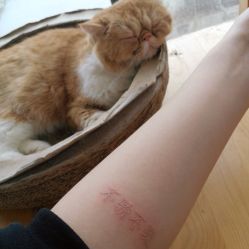 点击看大图 文字-飛凡TATTOO纹身•原创