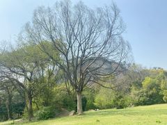 -柯岩风景区