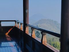 -杭州半山国家森林公园