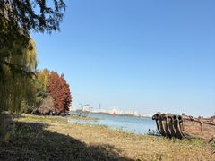 -长广溪湿地公园