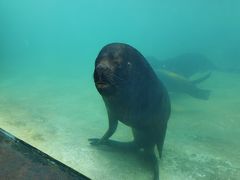-珠海长隆海洋王国