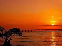 -宝安西湾红树林湿地公园