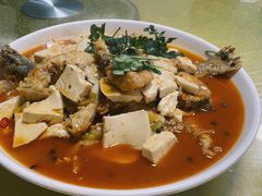 -煲来饱去冷水鱼