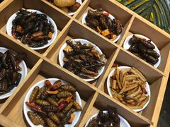 -昆虫窝子·特色云南菜(拓东路总店)