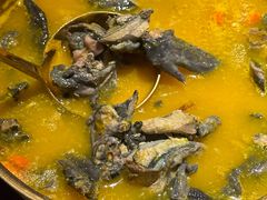 -Darling Queen·Mini·Live·House