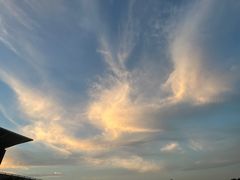 -老陕油泼面(回民街店)