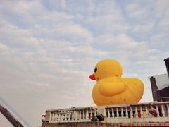 -长洲渡车船码头