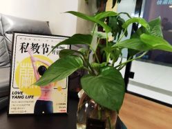 -兰瑜伽·普拉提