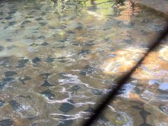 -碧水湾温泉