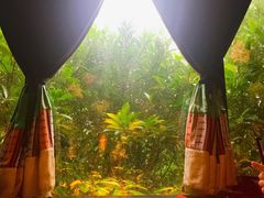 -花马天堂云南餐厅 Lost Heaven(高邮路店)