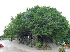 -船政文化景区-罗星塔公园