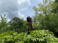 -自然谷恐龙园